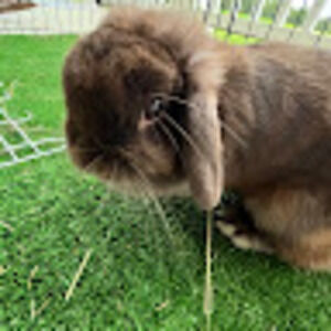 Meet your Posher, Austin